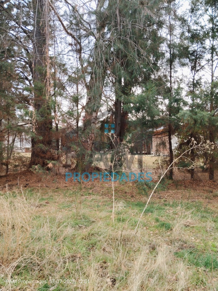 IMPORTANTE LOTE EN VENTA