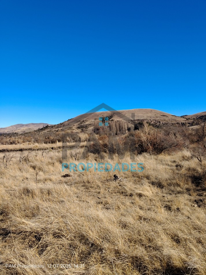 TRES LOTES DE TERRENO EN VENTA, LAGO HUECHULAFQUEN 