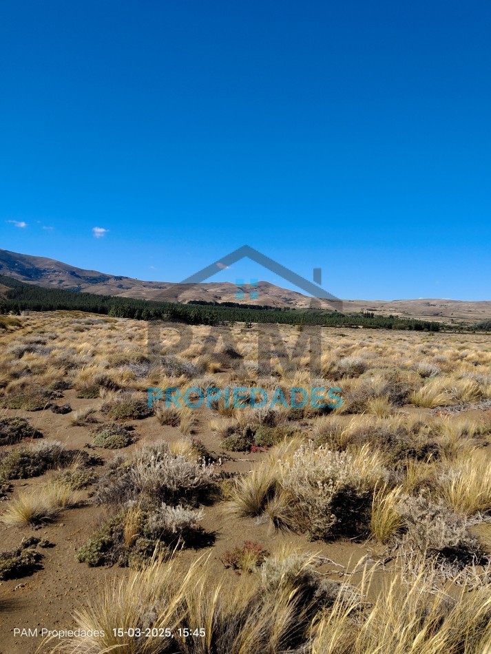 VENTA DE LOTE EN LAGO HUECHULAFQUEN