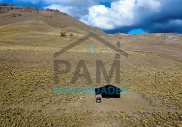 DOS HECTAREAS EN VENTA, PILO LIL. EXCELENTE OPORTUNIDAD!!!